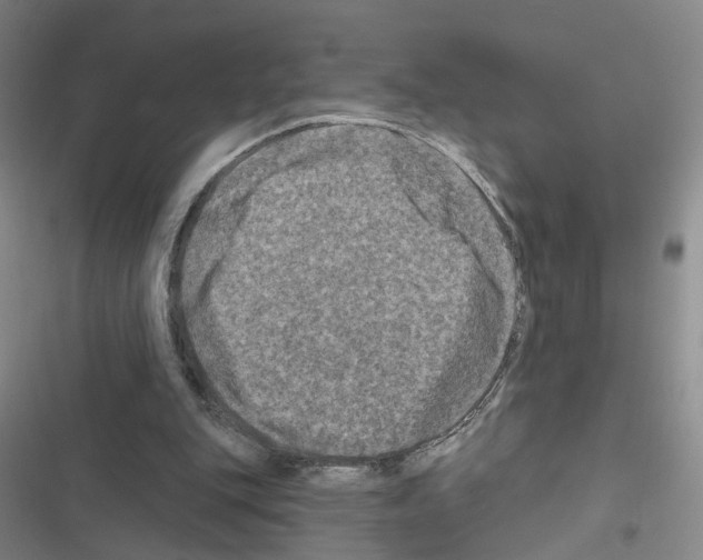 X0000116450151201001191600