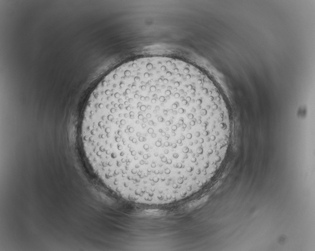 X0000116450153201001191600