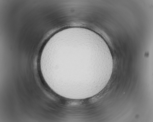 X0000116450155201001191600