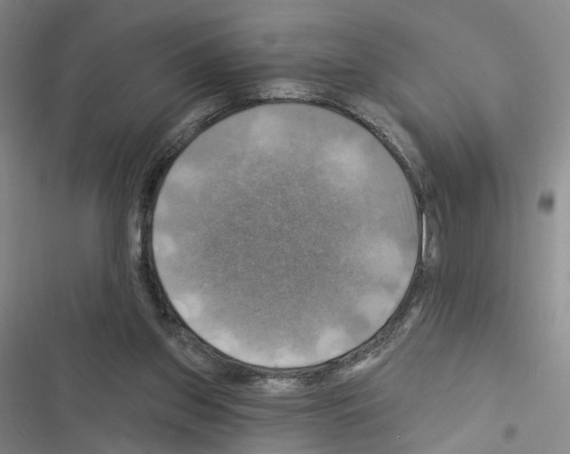 X0000116450157201001191600