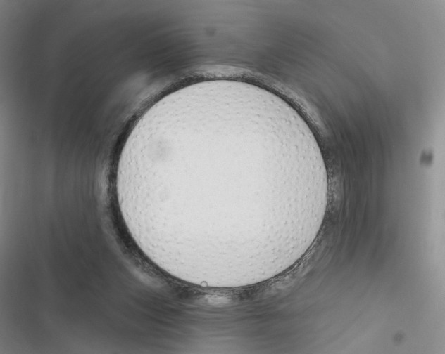 X0000116450159201001191600