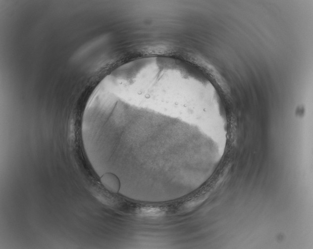 X0000116450161201001191600