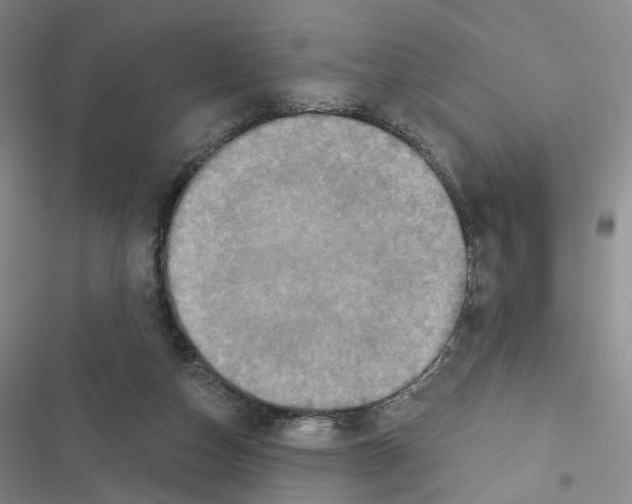 X0000116450162201001191600