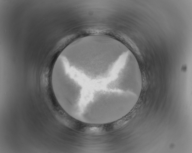 X0000116450163201001191600