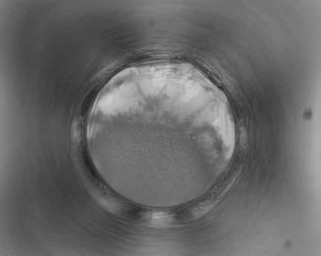 X0000116450165201001191600
