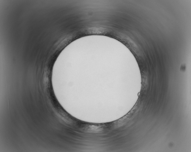 X0000116450166201001191600