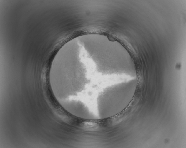 X0000116450167201001191600