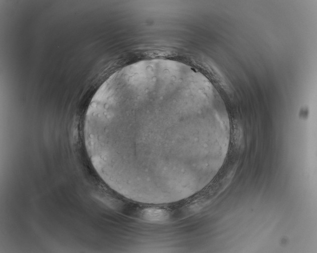 X0000116450169201001191600