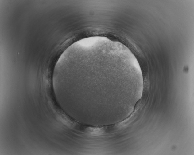 X0000116450170201001191600