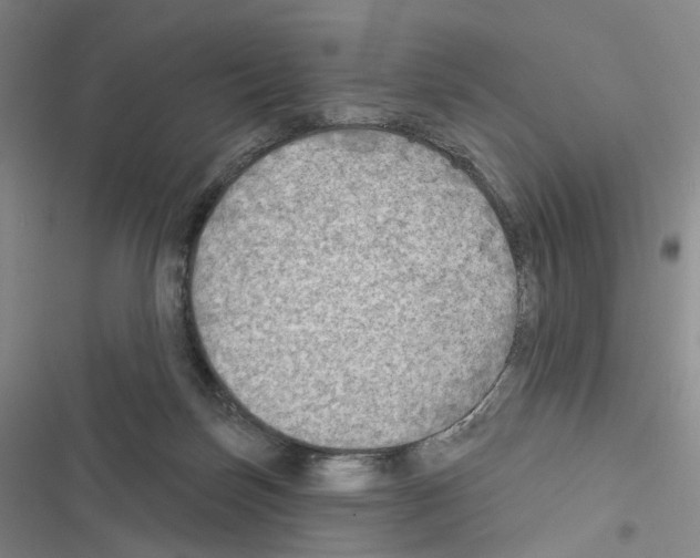 X0000116450171201001191600