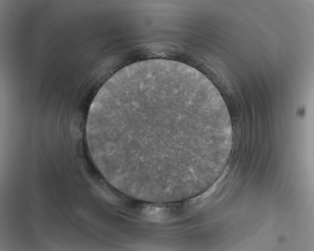 X0000116450174201001191600