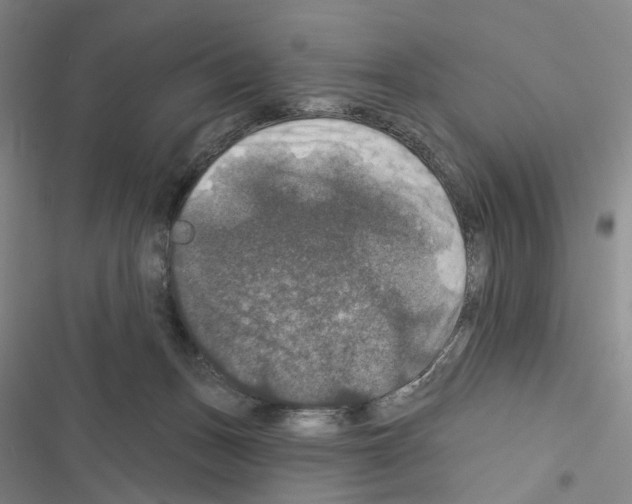 X0000116450175201001191600