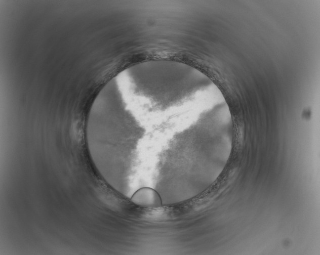 X0000116450177201001191600