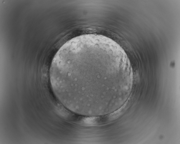 X0000116450178201001191600