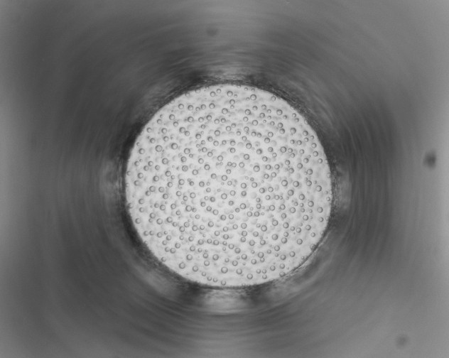 X0000116450179201001191600