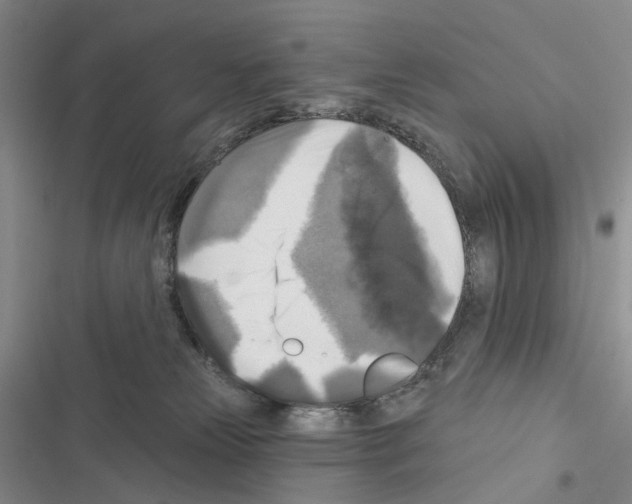 X0000116450181201001191600