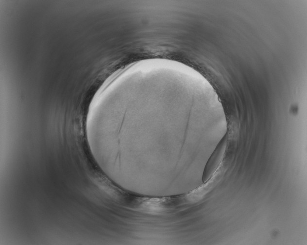 X0000116450182201001191600