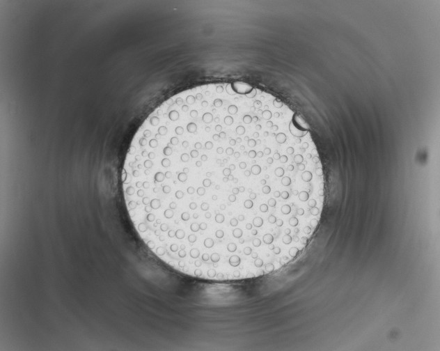X0000116450183201001191600