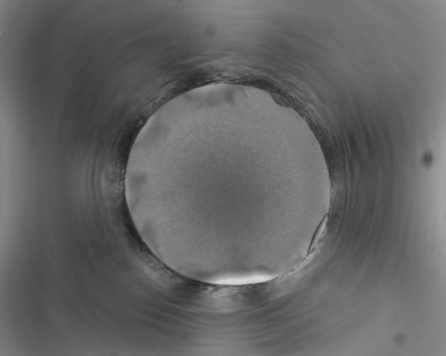 X0000116450186201001191600