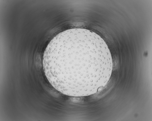 X0000116450187201001191600
