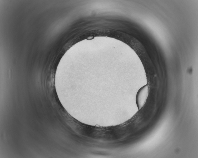 X0000116450190201001191600
