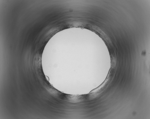 X0000116450191201001191600