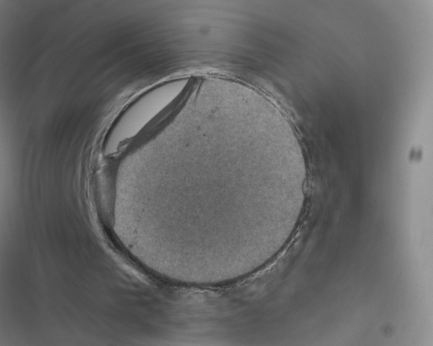 X0000116450193201001191600