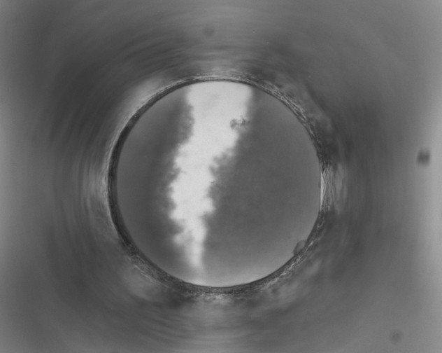 X0000116450195201001191600
