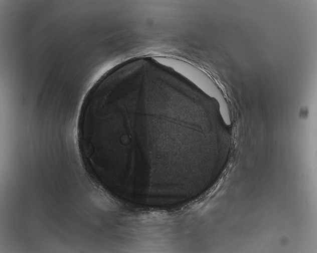 X0000116450196201001191600