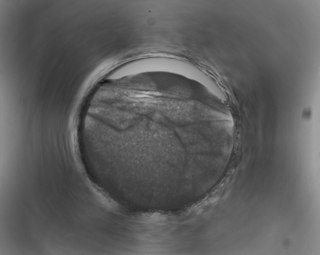 X0000116450197201001191600