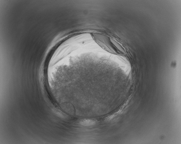 X0000116450198201001191600