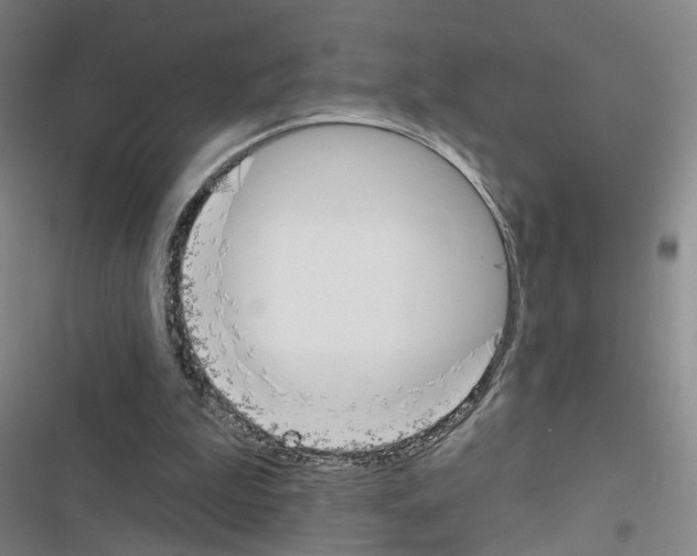 X0000116450199201001191600
