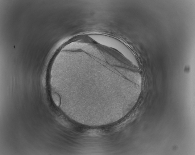 X0000116450200201001191600