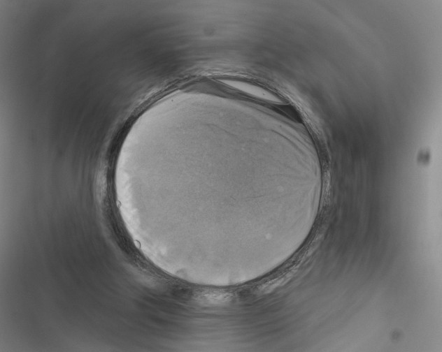 X0000116450202201001191600