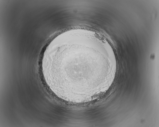 X0000116450203201001191600