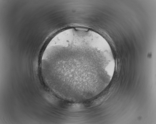 X0000116450204201001191600