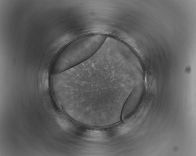 X0000116450205201001191600