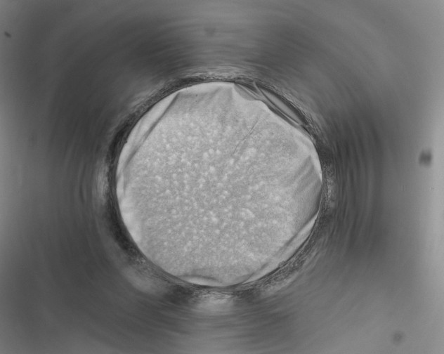X0000116450206201001191600