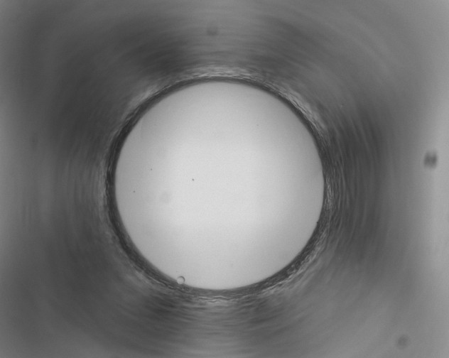 X0000116450207201001191600