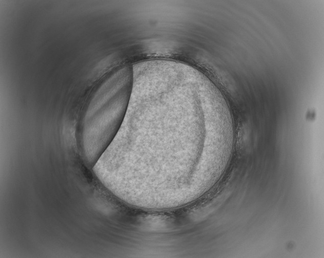 X0000116450209201001191559