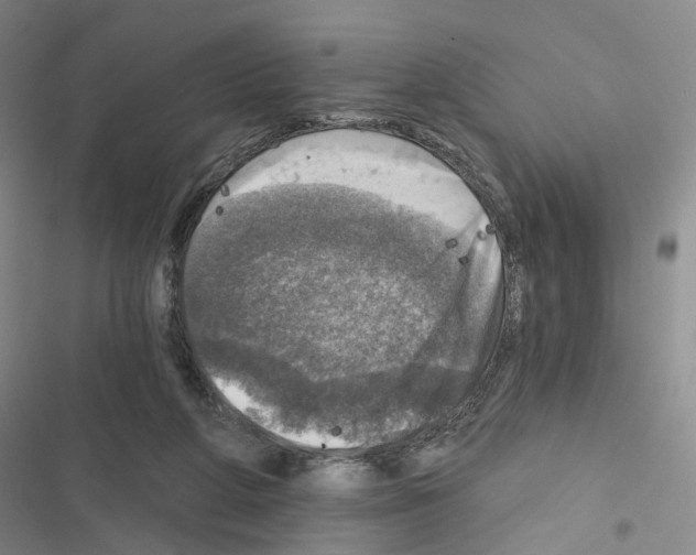 X0000116450210201001191559