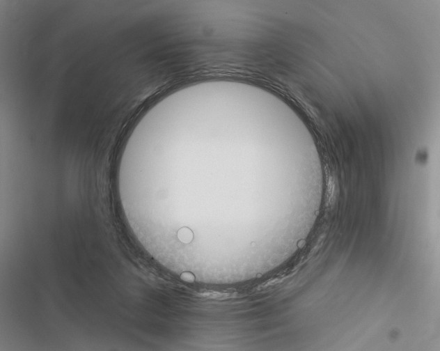 X0000116450211201001191559
