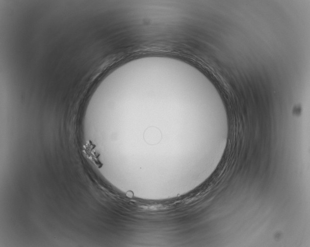 X0000116450212201001191559