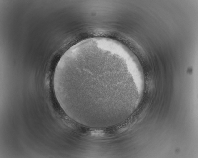 X0000116450214201001191559