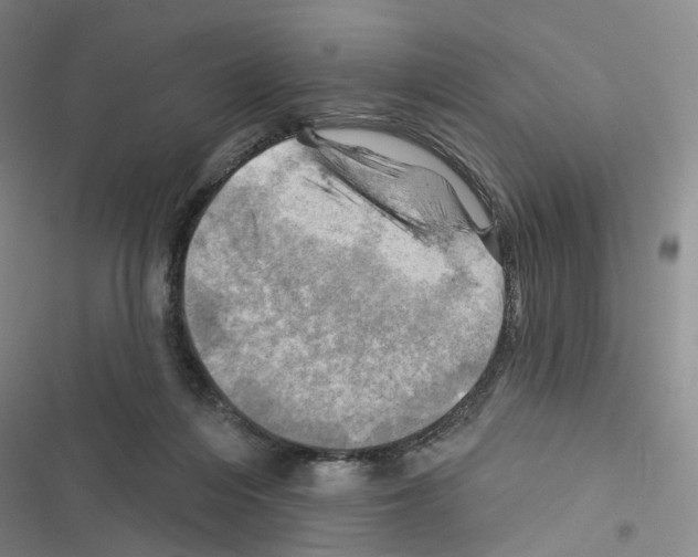 X0000116450216201001191559