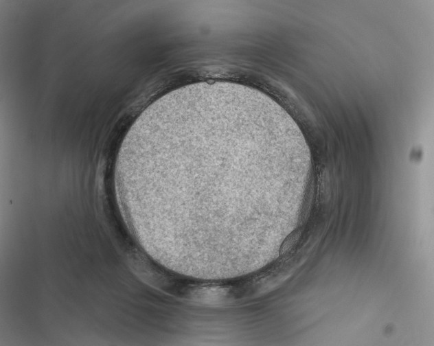X0000116450217201001191559