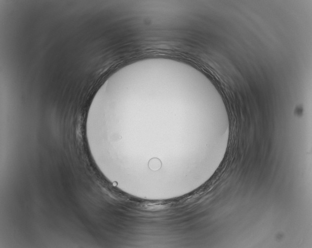 X0000116450219201001191559