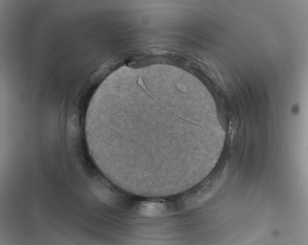 X0000116450220201001191559