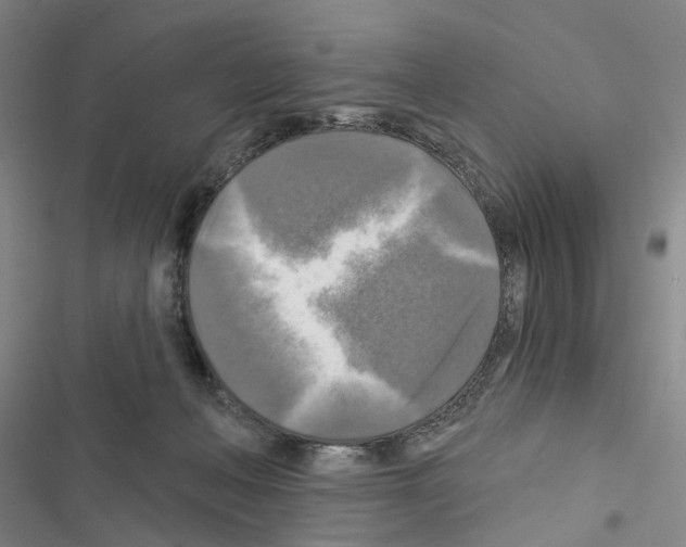 X0000116450222201001191559