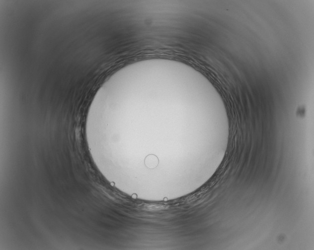 X0000116450223201001191559